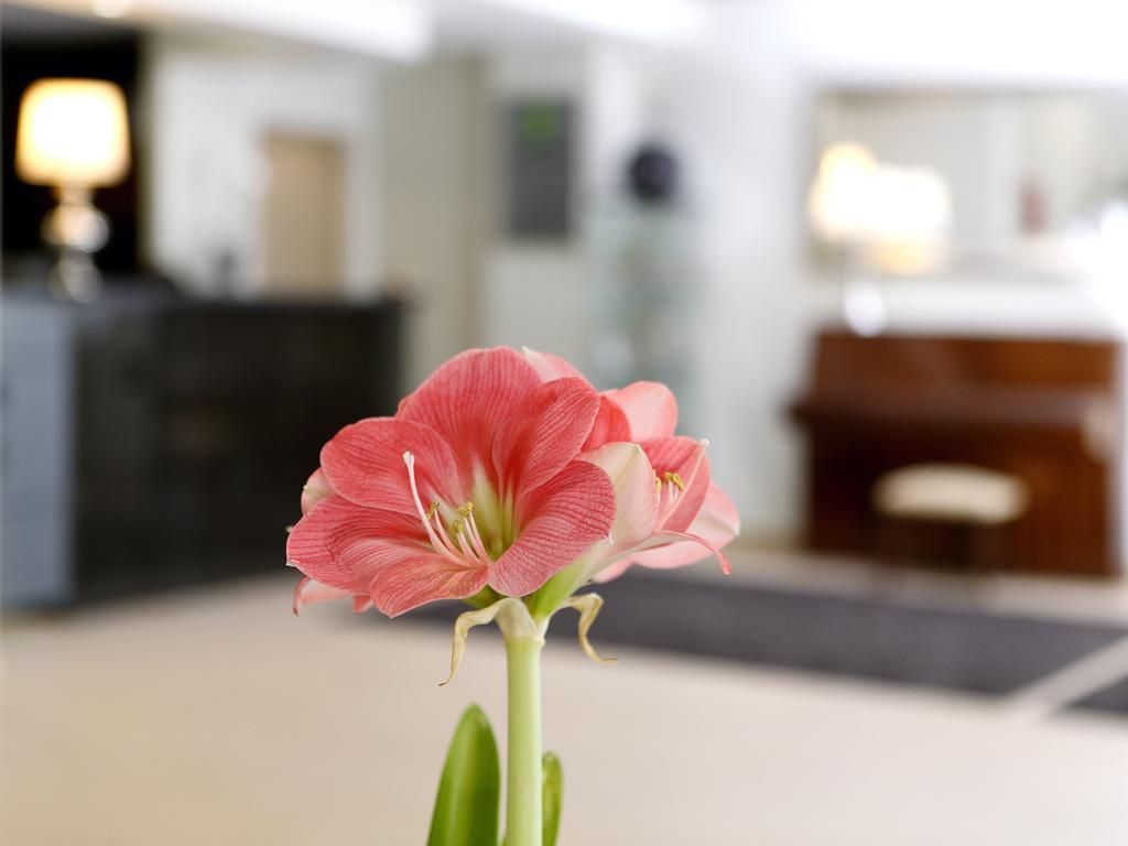 Cova Da Iria Hotel Фатима Экстерьер фото